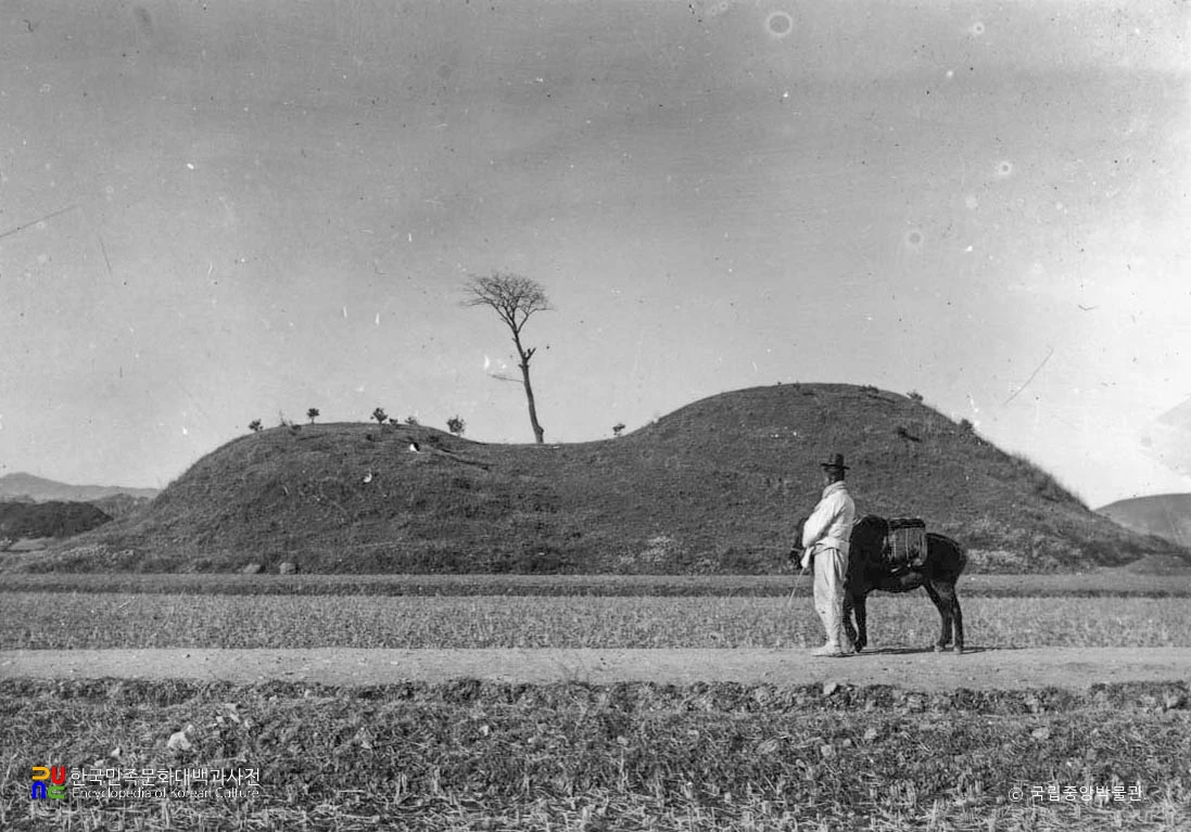 경주 대릉원 일원 중 황남대총 서쪽 측면