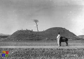 경주 대릉원 일원 중 황남대총 서쪽 측면