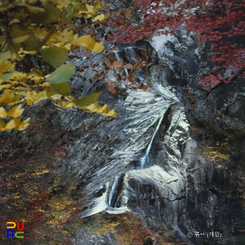 설악산 천연보호구역 약폭