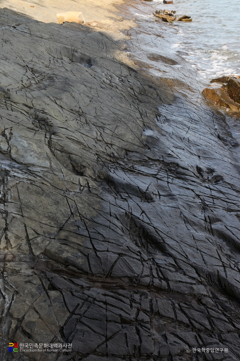 남해 가인리 화석산지