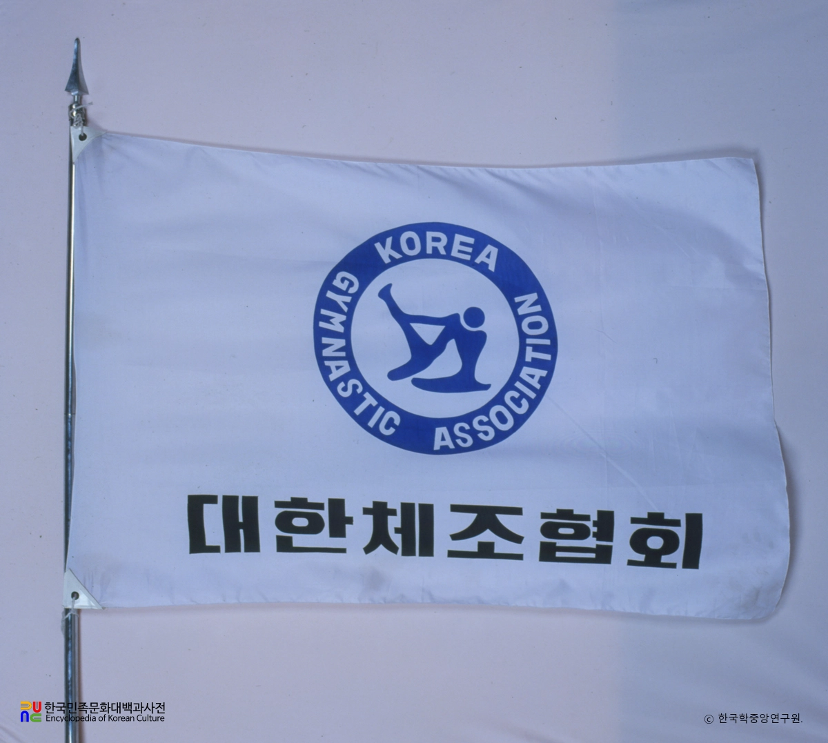 대한체조협회 기