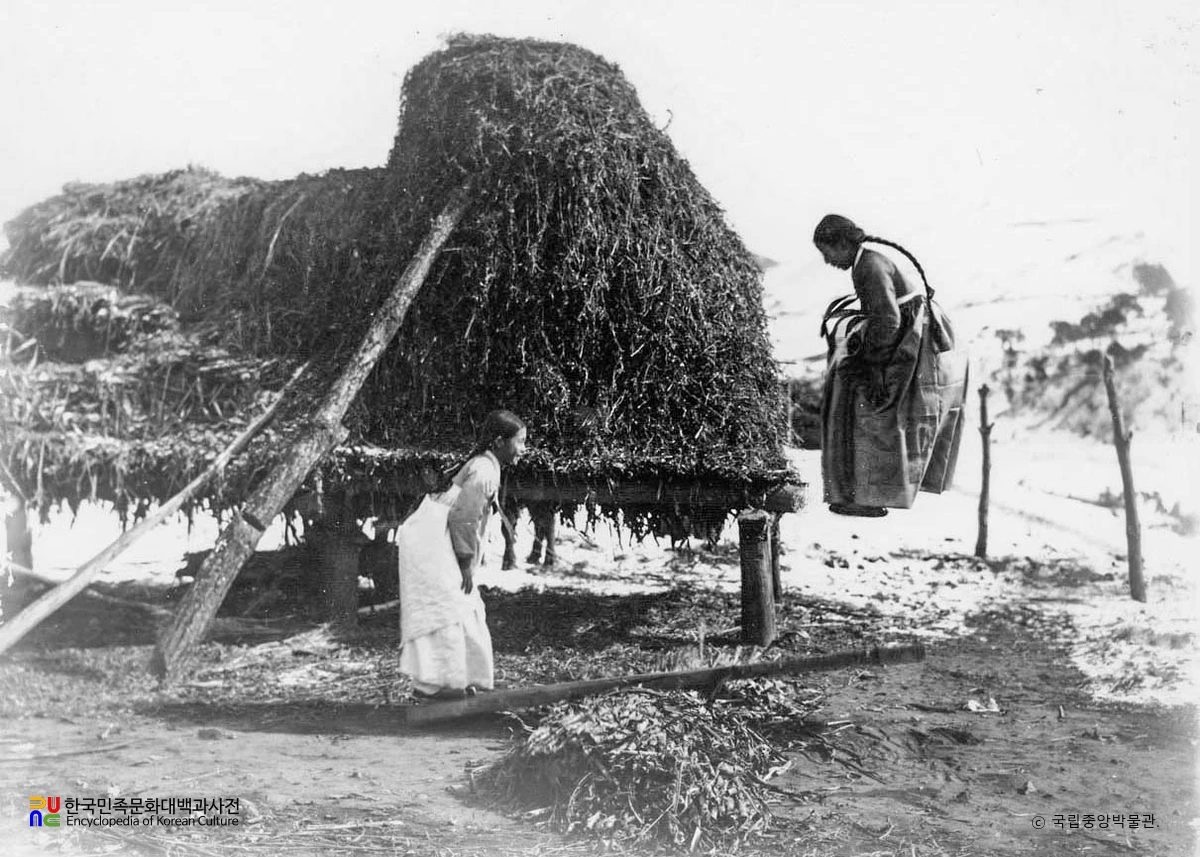 평북 초산 소녀의 널뛰기