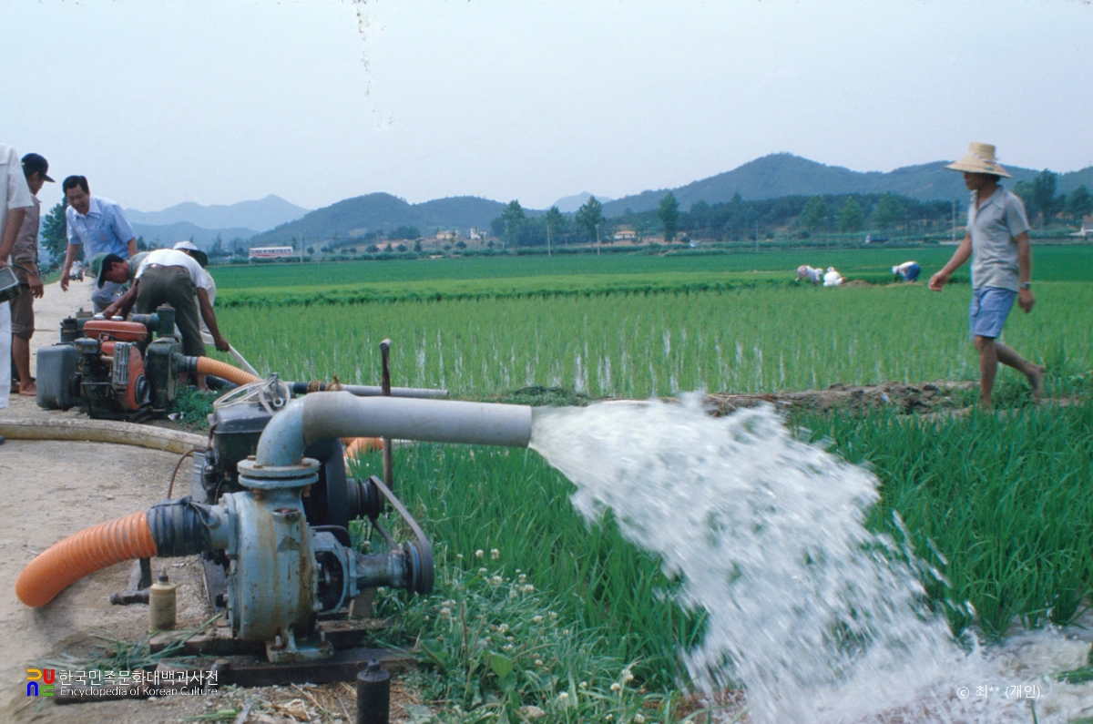 양수기로 관개하는 모습