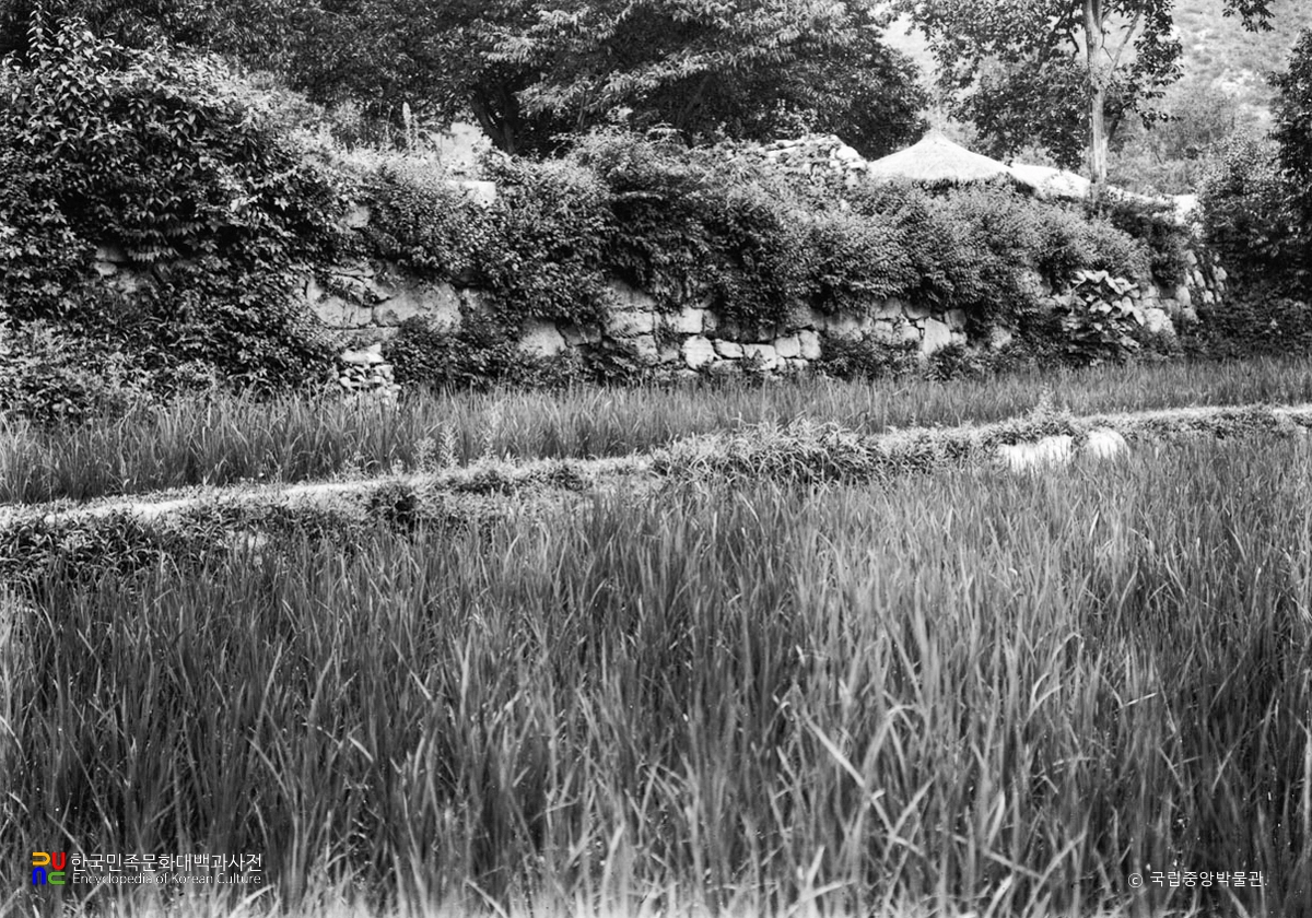 논산 개태사지 석단 일부