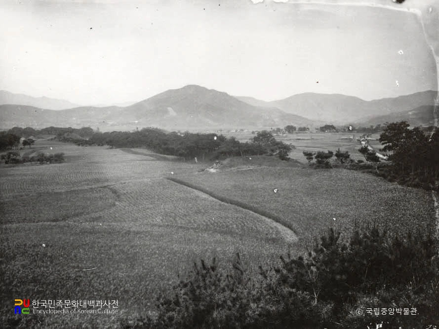 경주 석빙고와 월성 내부 전경