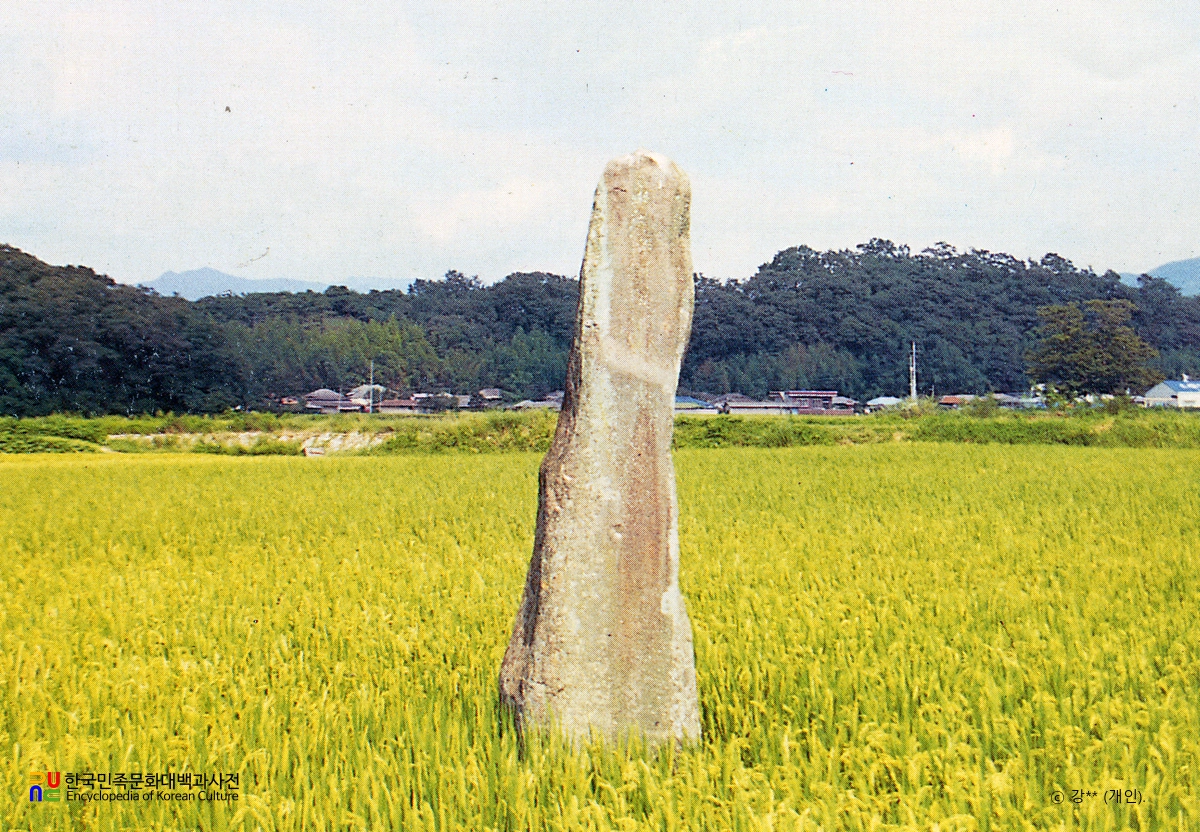 진양 대천리 입석