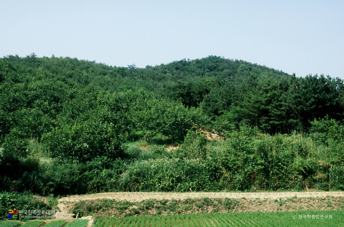 김해 양동리 고분군