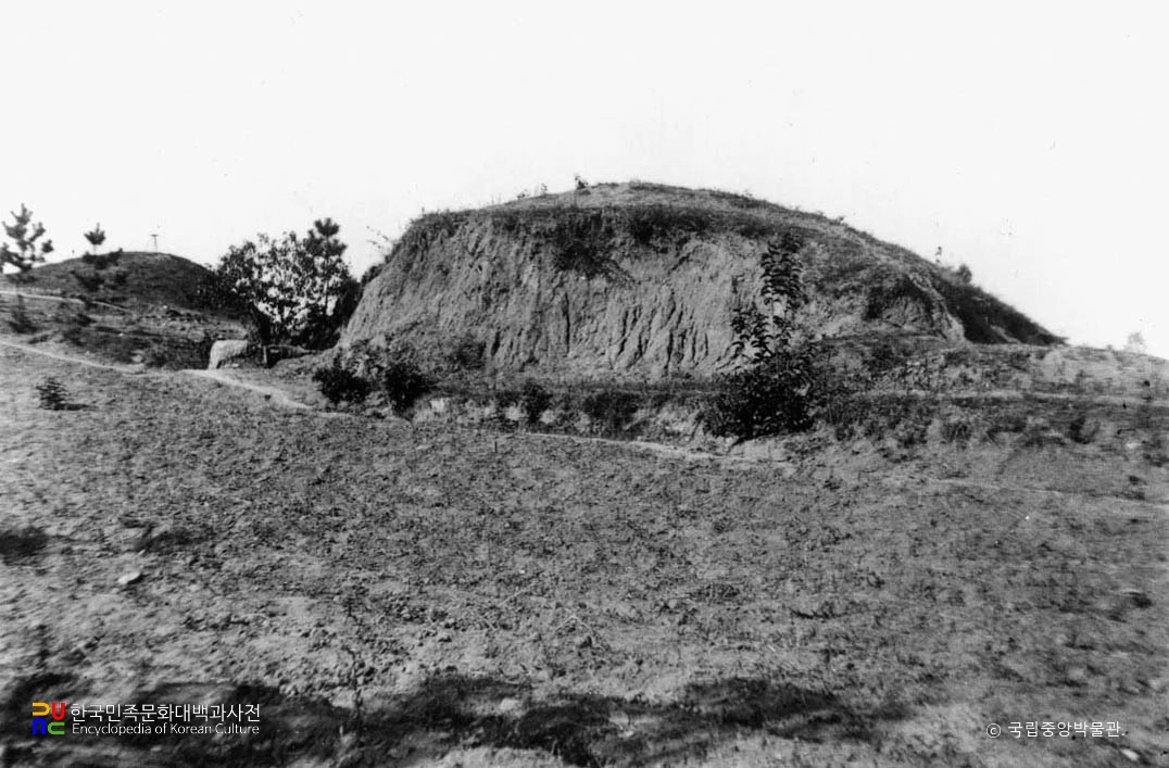 대구 내당동 고분군 중 50호분 동남면