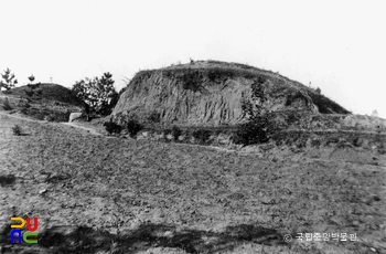 대구 내당동 고분군 중 50호분 동남면
