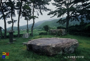 사천시 신벽동 지석묘 전경