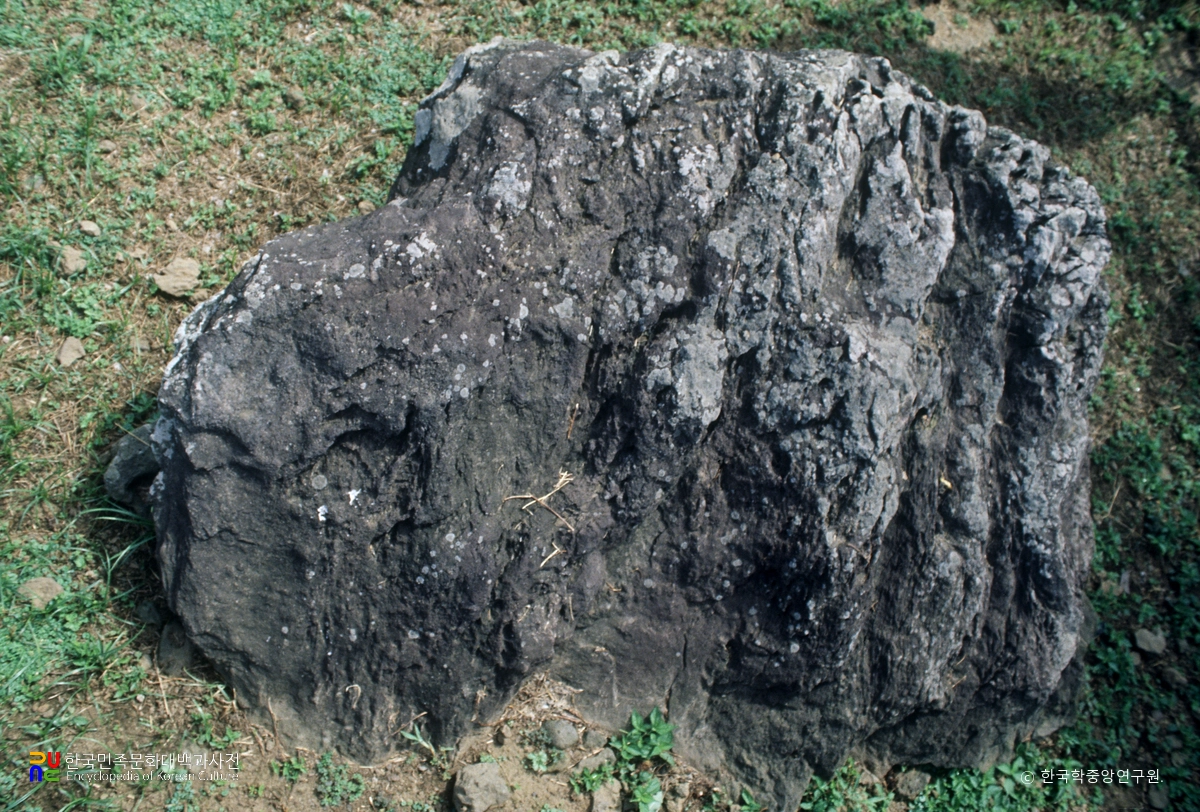 제주 삼양 지석묘 1호 전경