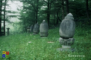 논산 m 2 슬롯 부도 전경