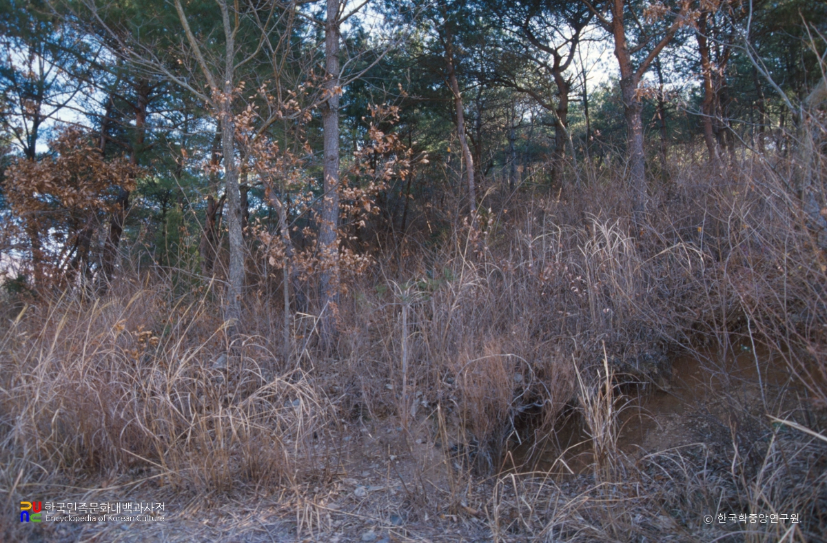 강진 삼흥리 도요지