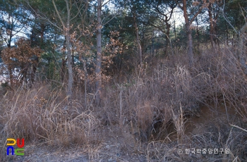 강진 삼흥리 도모바일 슬롯