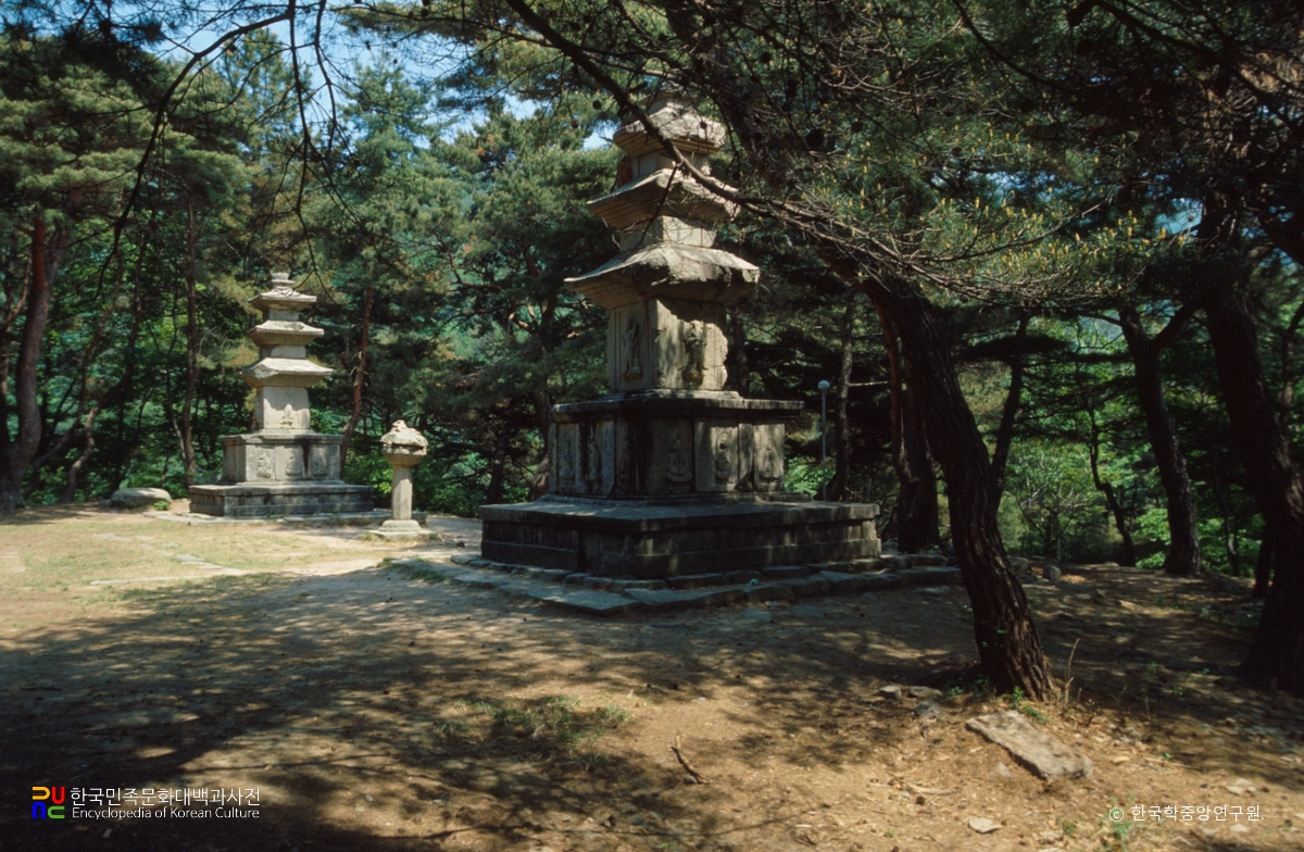 경주 원원사지 동ㆍ서 삼층석탑 남동면