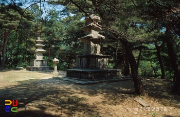 경주 원원사지 동ㆍ서 삼층석탑 남동면