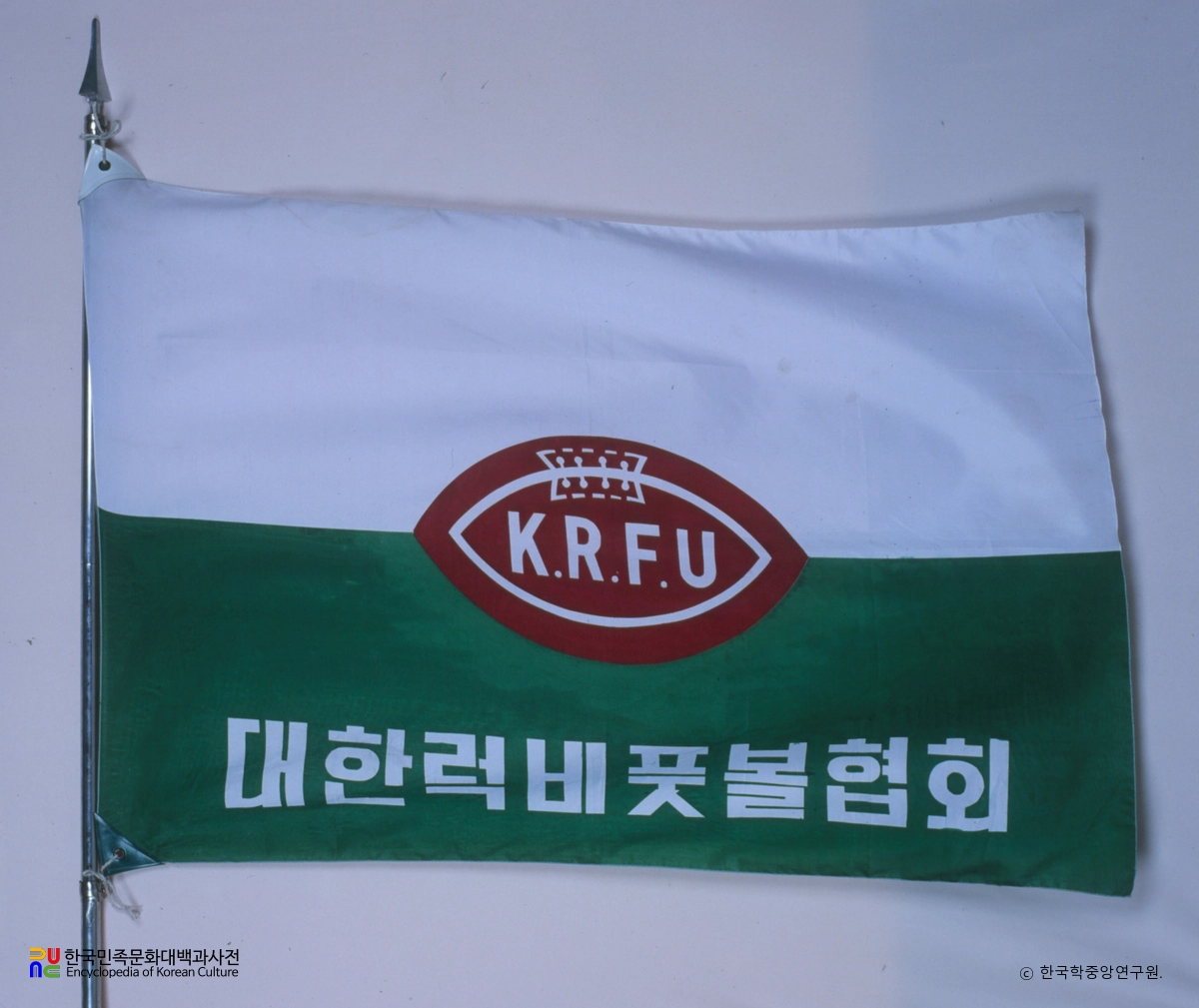 대한럭비풋볼협회 기