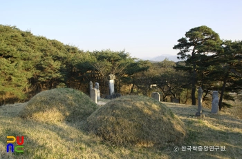 함양 평촌리 신고당 신도비 및 부부 묘표 중 부부 묘 좌측후면