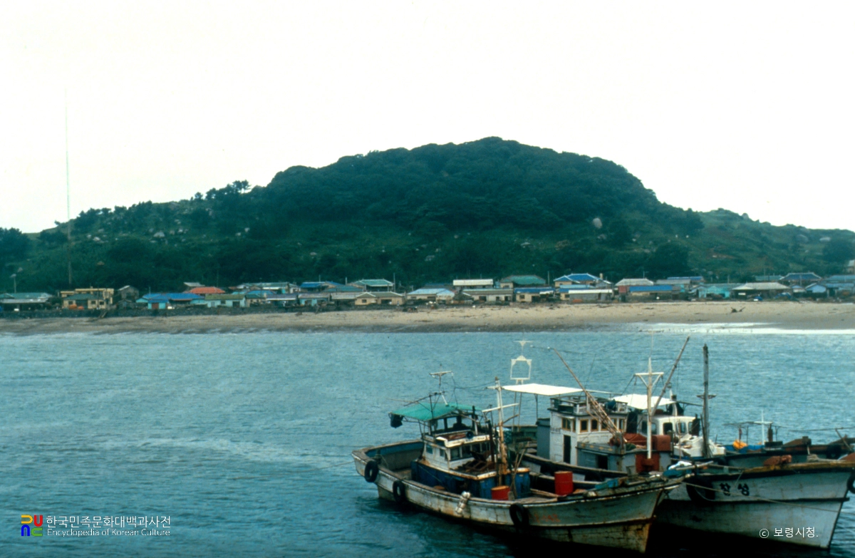 보령 외연도 상록수림