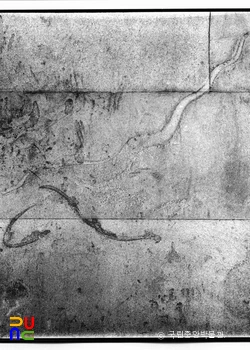 평남 강서 강서대묘 현실 서벽 백호(파노라마)