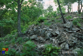 세종 운주산성 성벽