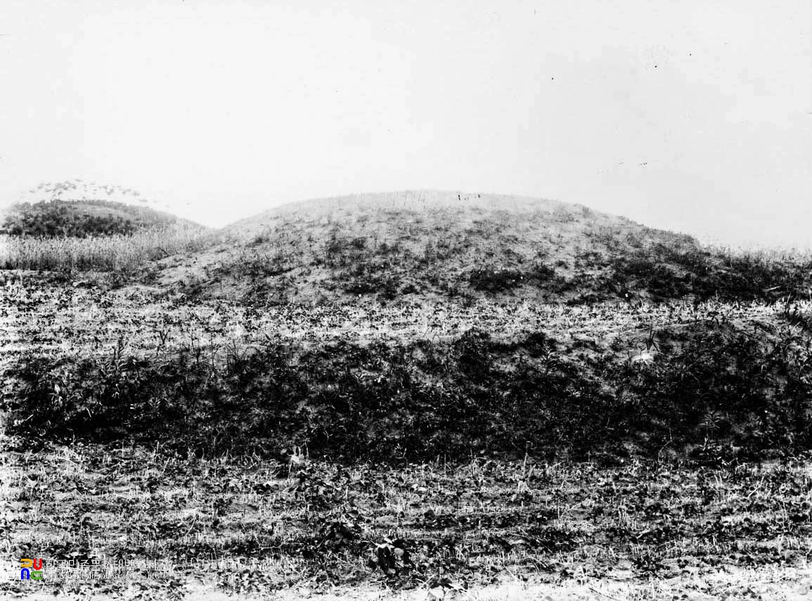 함안 가야리 고분군 정면