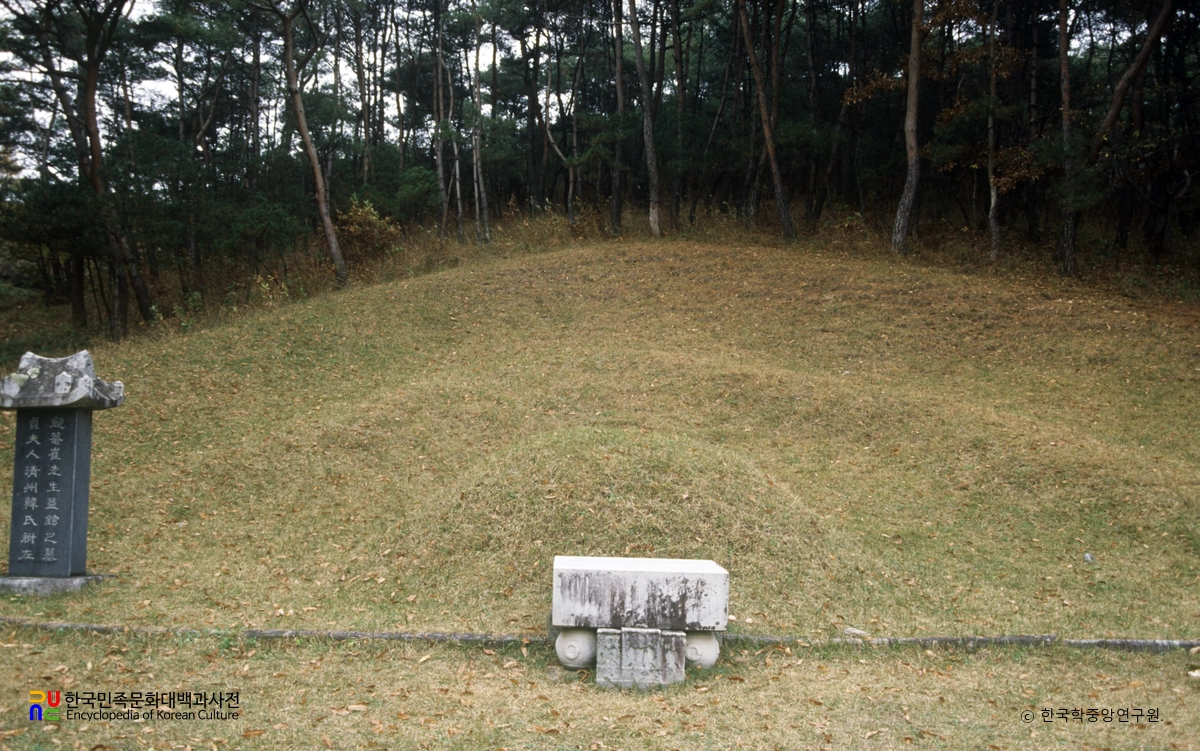 최익현 선생 묘