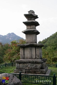 중원 미륵리 삼층석탑