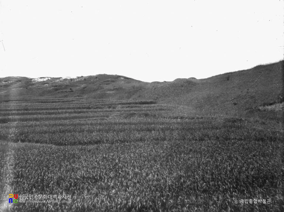 여주 상리 고분군