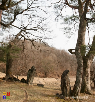 영주 청구리 입석 전경