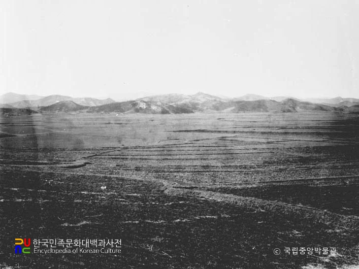 충남 부여 나복리 석기시대 유적 전경