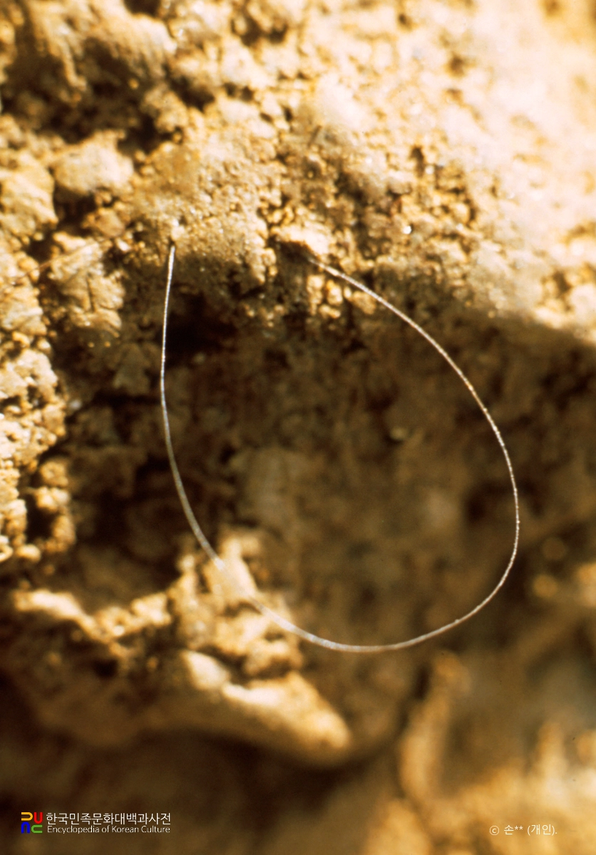 공주 석장리 유적 출토 머리카락