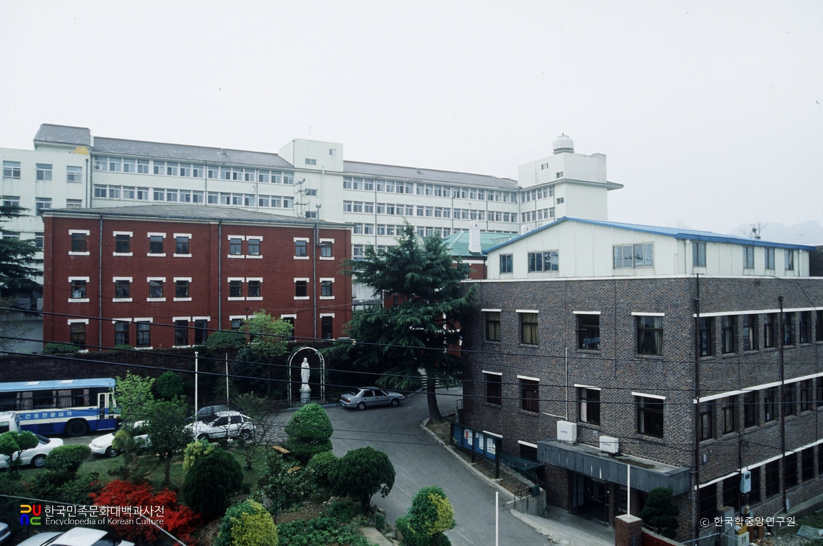 목포가톨릭대학교