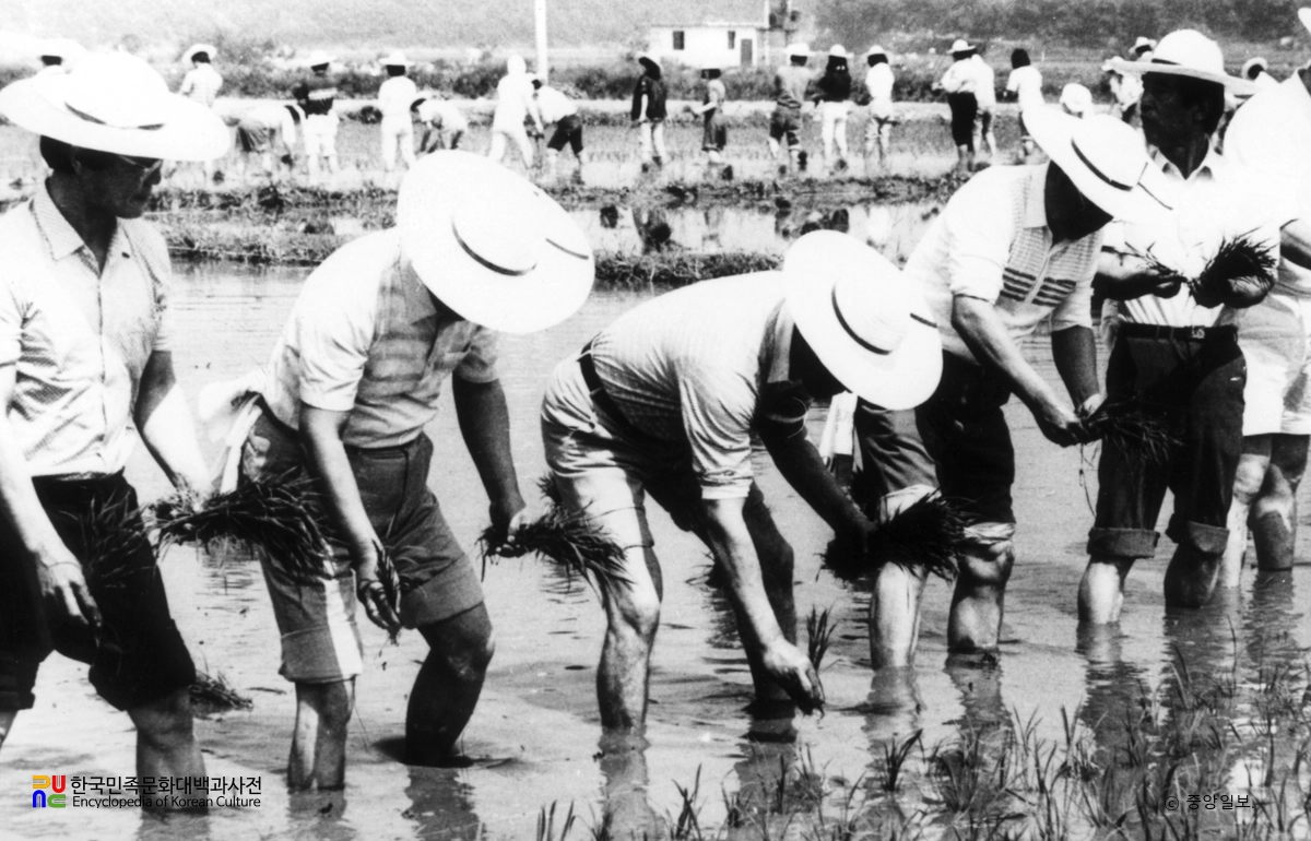 권농의 날 행사
