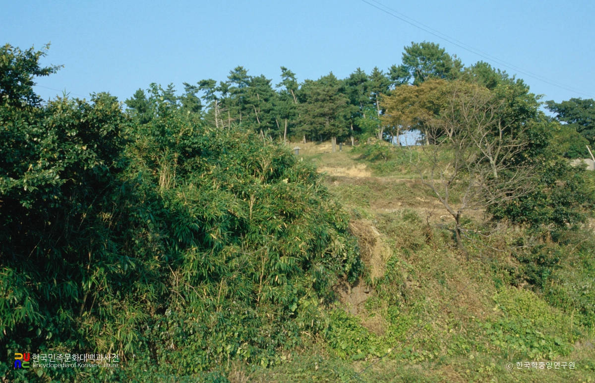 고성 소을비포 성지