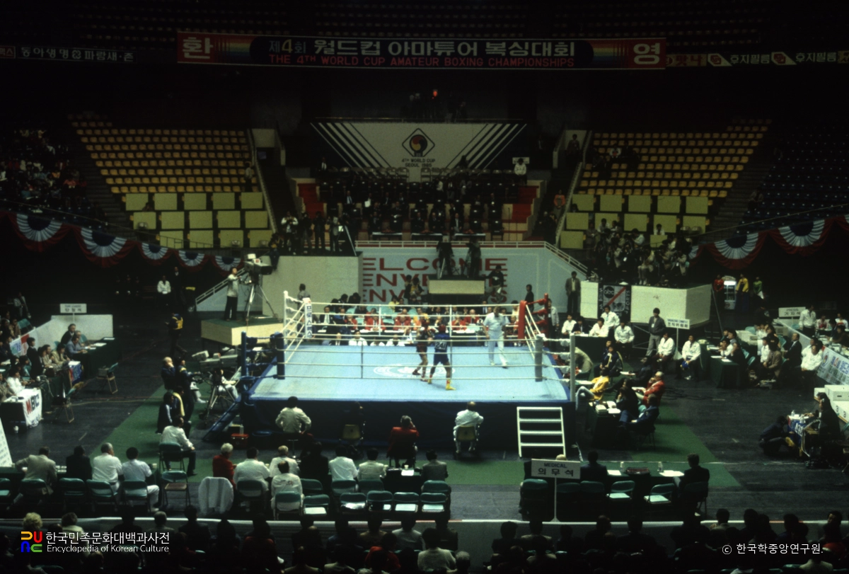 월드컵 아마투어 복싱대회(제4회)
