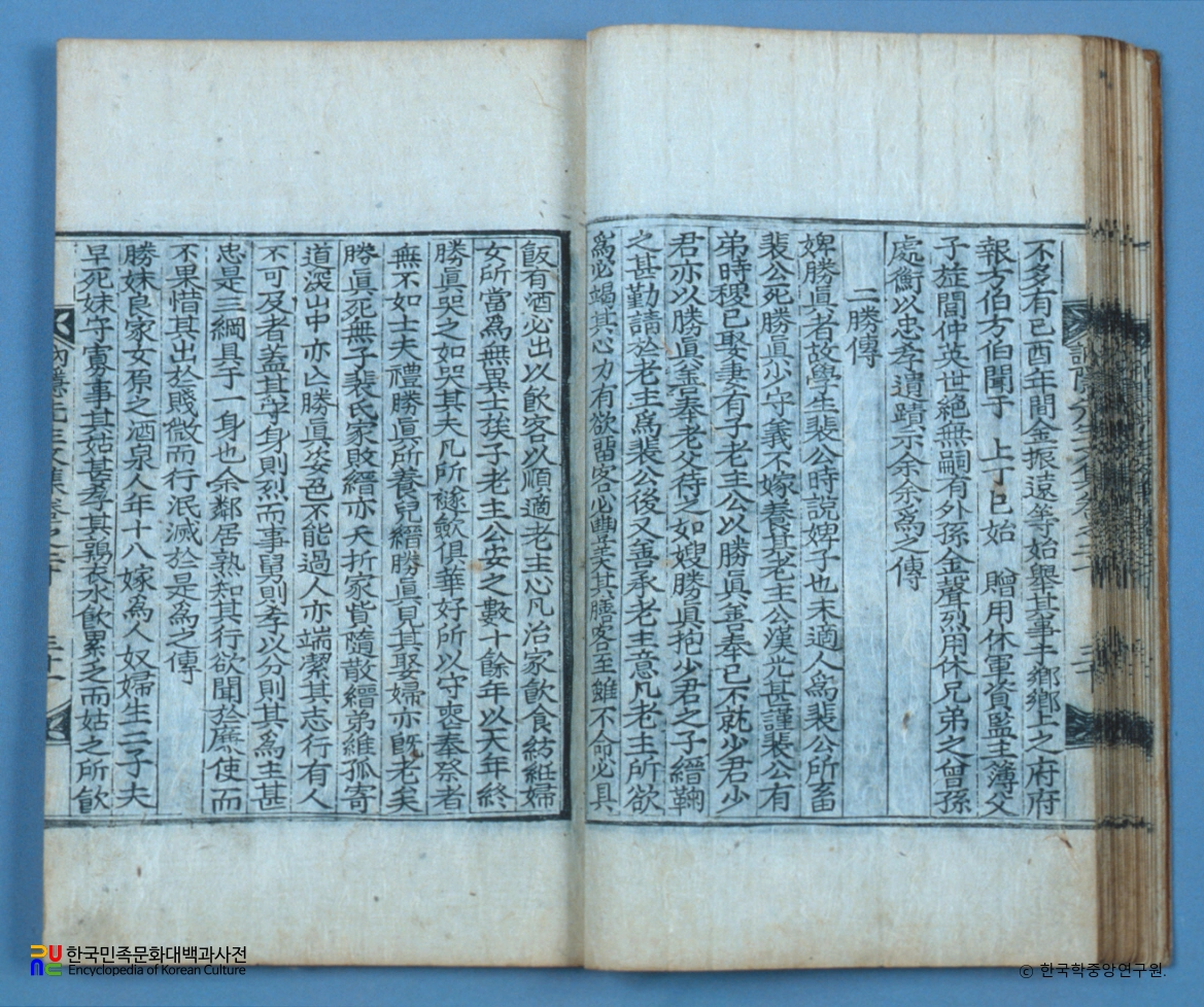 눌은선생문집 / 정효자전