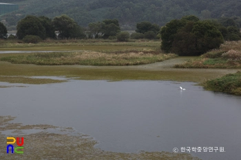 창녕 우포늪 천연보호구역