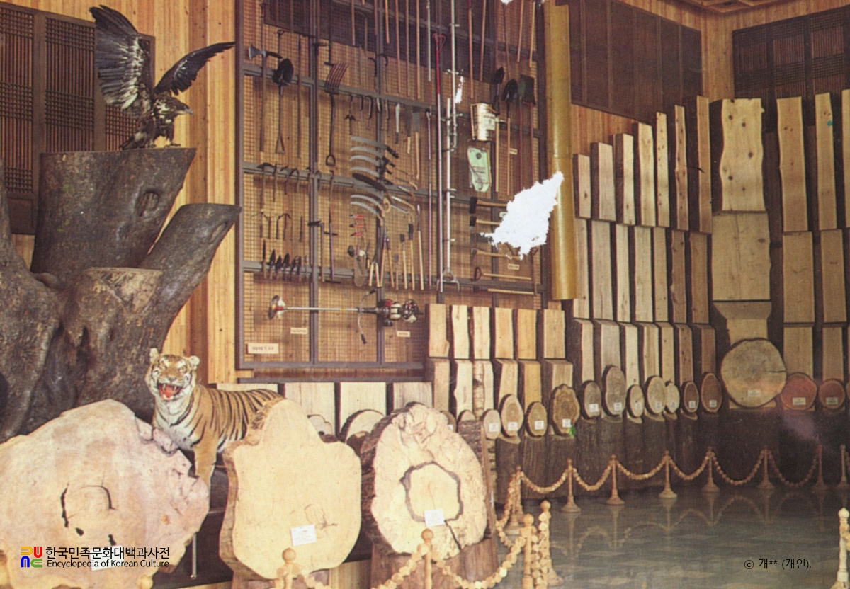 광릉수목원 산림박물관
