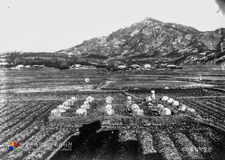 익산 미륵사지 중 서금당지 전경