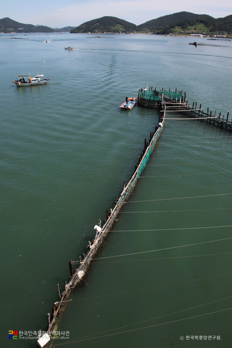 남해 지족해협 죽방렴