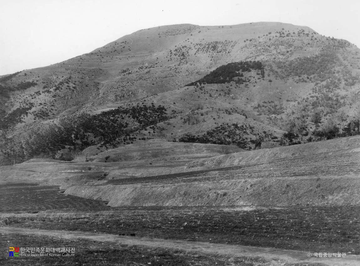 고령 주산성 전경