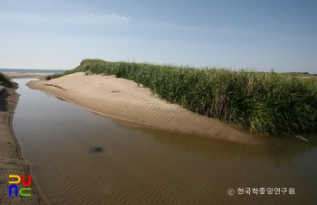 태안 신두리 해안사구