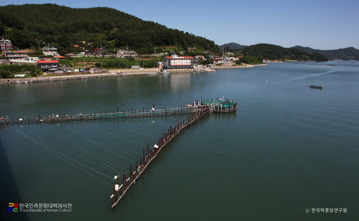 남해 지족해협 죽방렴