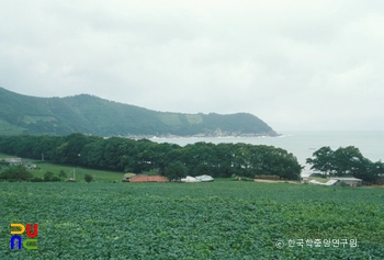 남해 물건리 방조어부림