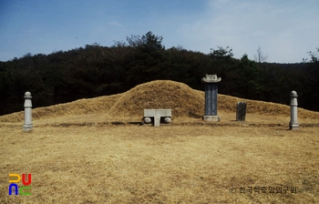 김종서 장군 묘