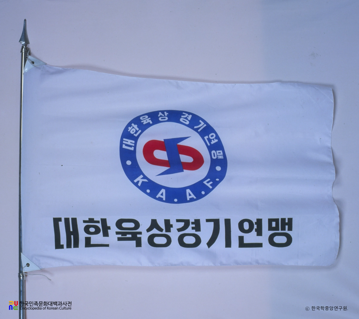 대한육상경기연맹 기