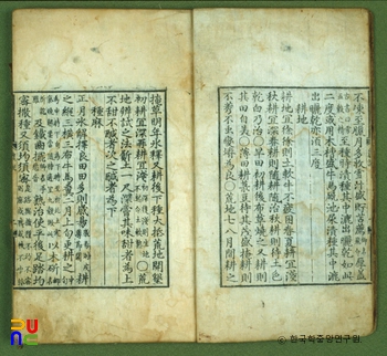 슬롯 배당