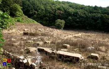 충주 숭선사지