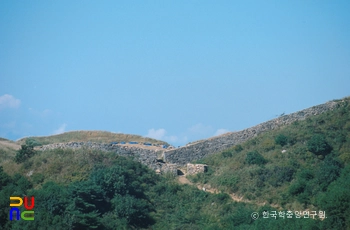 창녕 화왕슬롯 스 캐터